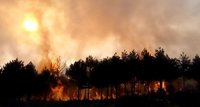 El Gobierno destina más de 2,10 millones a actuaciones para reparar daños por incendios y temporales