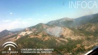Afectadas 2,5 hectáreas de matorral y arbolado por el incendio forestal ya controlado en Segura de la Sierra (Jaén)