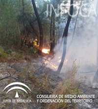 Extinguido el incendio forestal declarado el viernes en Calañas (Huelva)