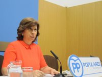 El PP urge soluciones ante el aumento en un 21% de los asentamientos chabolistas en Zaragoza