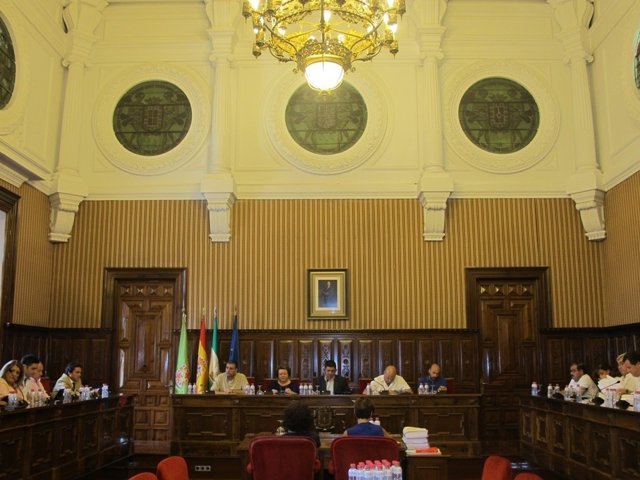 Celebración del pleno extraordinario