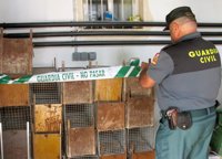 La Guardia Civil se incauta de 26 jaulas-trampa para conejos de campo en Santomera