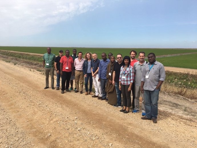 Delegaciones de Costal de Marfil y Níger visistan arrozales en Doñana