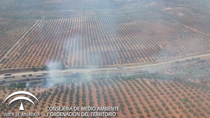 Imagen del incendio