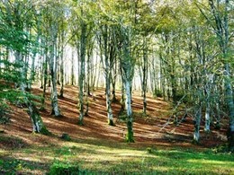 Paisaje de Campoo de Yuso