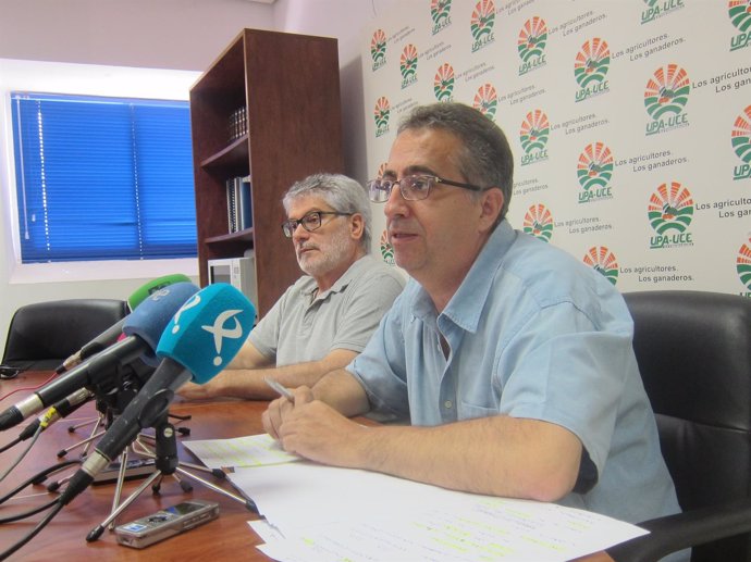 UPA-UCE Extremadura estima pérdidas del 15% de la producción del tomate