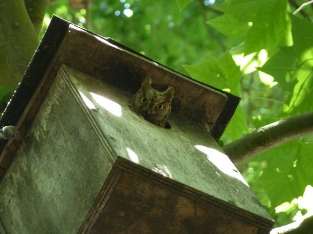 Conservación ambiental 