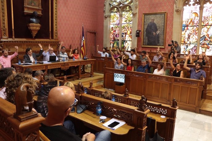 Pleno del Consell de Mallorca