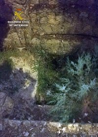 Rescatado, en buen estado de salud, un octogenario que se había precipitado por un desnivel de 5m en Cieza