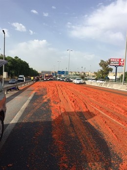 Estado de la autovía antes de la limpieza.