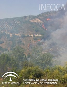 Incendio en Villanueva del Arzobispo