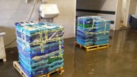La Guardia Civil localiza casi 300 kilos de pescado inmaduro en el Puerto de Altea