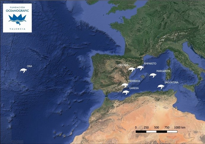 Seguimiento de las tortugas vía satélite