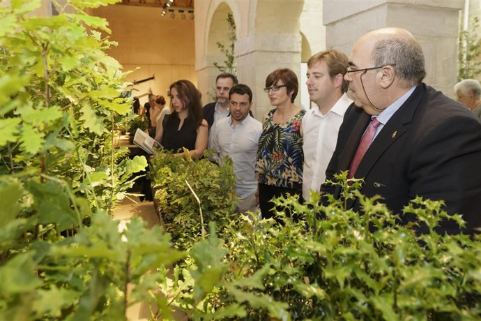 Oria en el centro forestal de Villapresente 