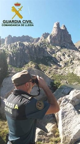Vigilància d'un agent del Seprona