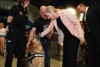 Más de 135.000 perros han viajado en Metro durante el primer año que se ha permitido su acceso al suburbano