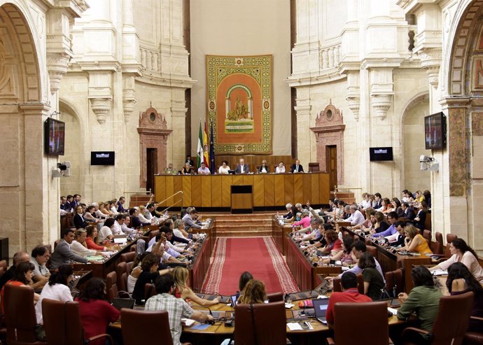 Pleno del Parlamento andaluz