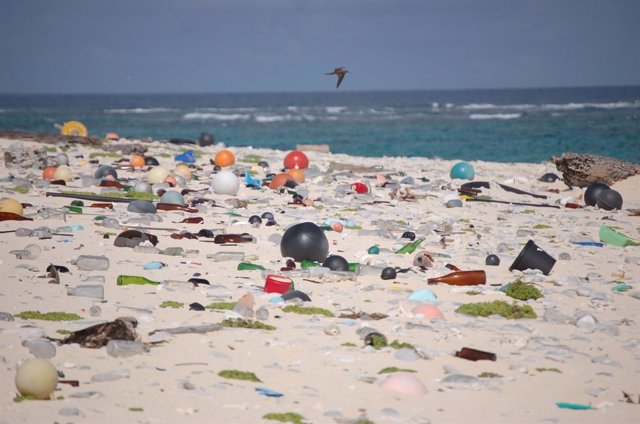 Residuos plásticos en una playa de Hawai