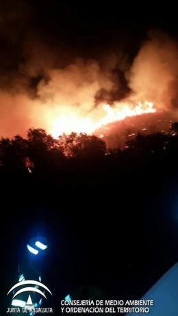Incendio en un paraje de Aznalcóllar (Sevilla)