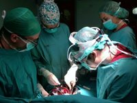 El Sespa concluye el primer semestre de 2017 sin demoras superiores a los 180 días para intervenciones quirúrgicas