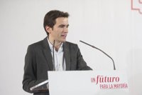 Casares defiende la "legitimidad" de Zuloaga y pide el apoyo de "todos" los militantes