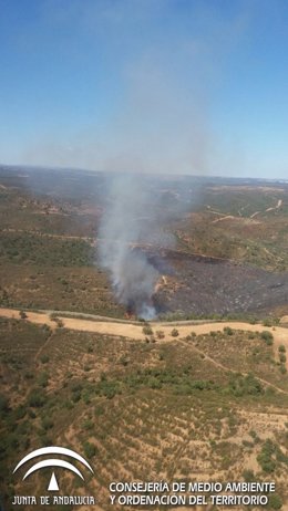 Nuevo incendio forestal declarado en Aznalcóllar (Sevilla)