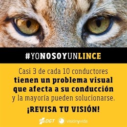 Campaña de la DGT y 'Visión y Vida' en redes sociales