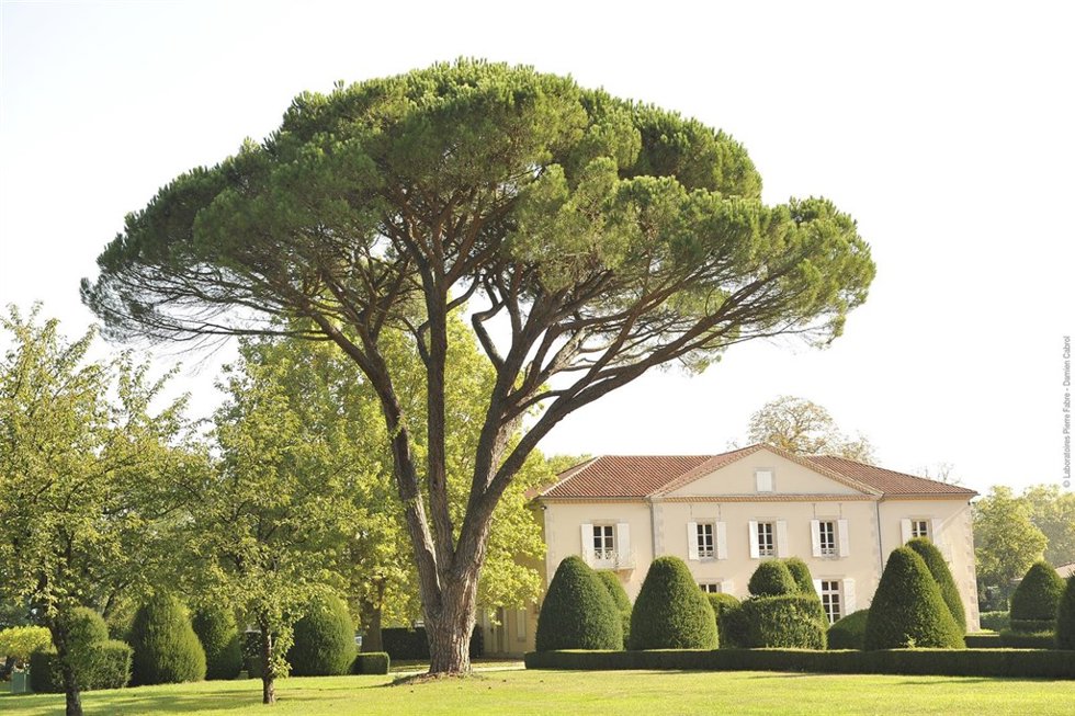 LABORATORIOS PIERRE FABRE