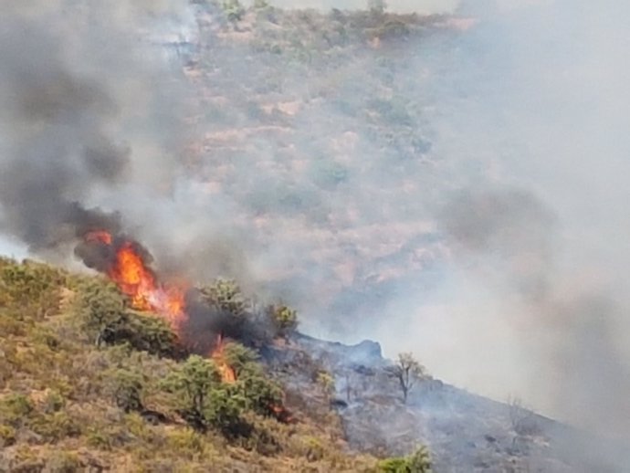 Incendio en Aznalcóllar