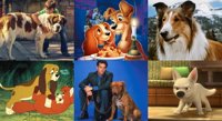 Día Mundial del perro: 15 películas protagonizadas por el mejor amigo del hombre