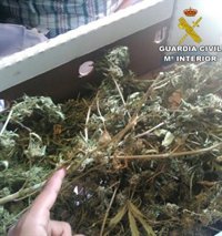 Tres menores y nueve adultos detenidos por vender droga en El Campello y alrededores