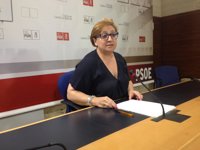 PSOE pide a PP que no haga "oposición destructiva" y dice que no se puede parar la recuperación porque estén "enfadados"