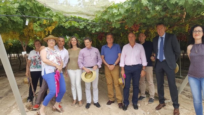 Visita a las fincas de uva de mesa de ITUM