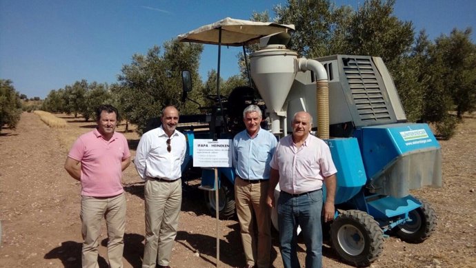 Investigación de la eficiencia de uso de agua en cultivo mixto cebada-olivar.
