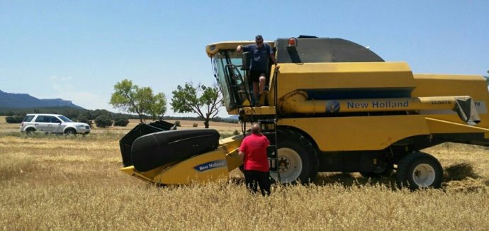 A este cultivo se dedican 24.000 hectáreas en el interior de la región