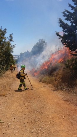Bombero forestal IF Málaga incendio infoca capital asperones