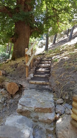 Sendero de Castañar de Valdeazores.