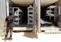 Cientos de cadáveres de milicianos de Estado Islámico esperan su repatriación desde Libia