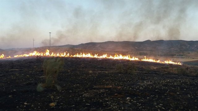 Incendio forestal en Antequera (Málaga)