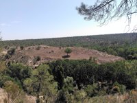 El yacimiento de la Peña del Moro recibe impulso de Junta y Ayuntamiento de Navas de Oro (Segovia)