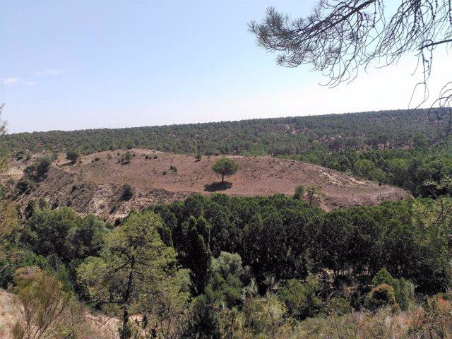 Segovia.- Yacimiento de la Peña del Moro 