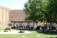 Reconocimiento al estudio realizado en Parapléjicos que logra frenar el avance de la esclerosis múltiple en ratones