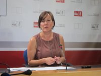 PSOE dice que CPFF no ha pedido recortes y dice a los 'populares' que "no se hagan líos"
