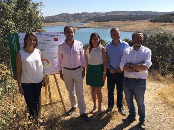 Actuación para prevenir atropellos de linces