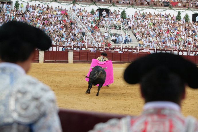 Plaza toros la malagueta diputación