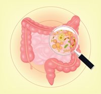 Obtienen compuestos procedentes de residuos del olivar que mejoran la flora intestinal