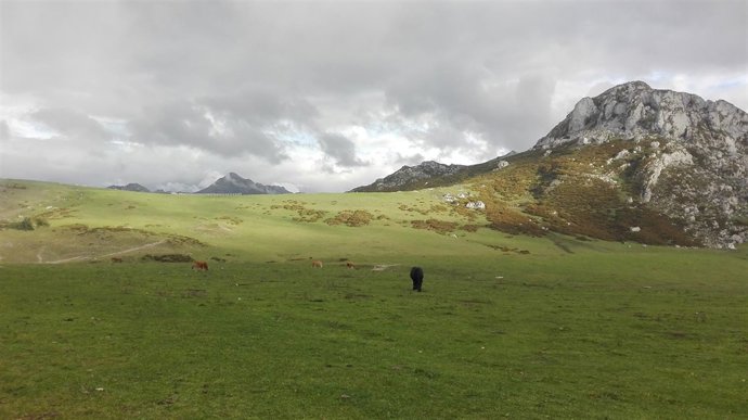 Entorno de los Lagos de Covadonga, turismo en Asturias