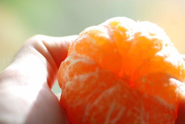 Andalucía encabeza la comercialización de la mandarina Orri en España