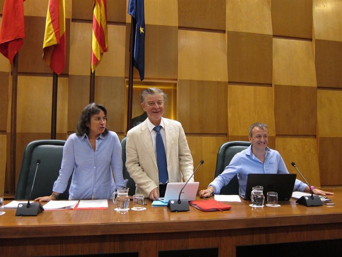 El Ayuntamiento celebra pleno                            