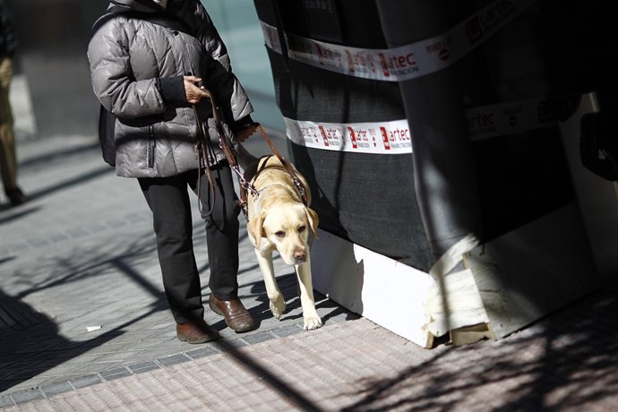 Discapacitat, discapacitat, cec, persones cegues amb gos pigall, lazarillo